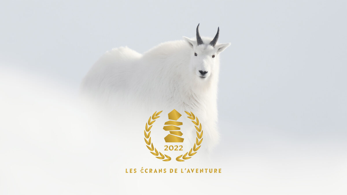 Le programme des projections de films primés