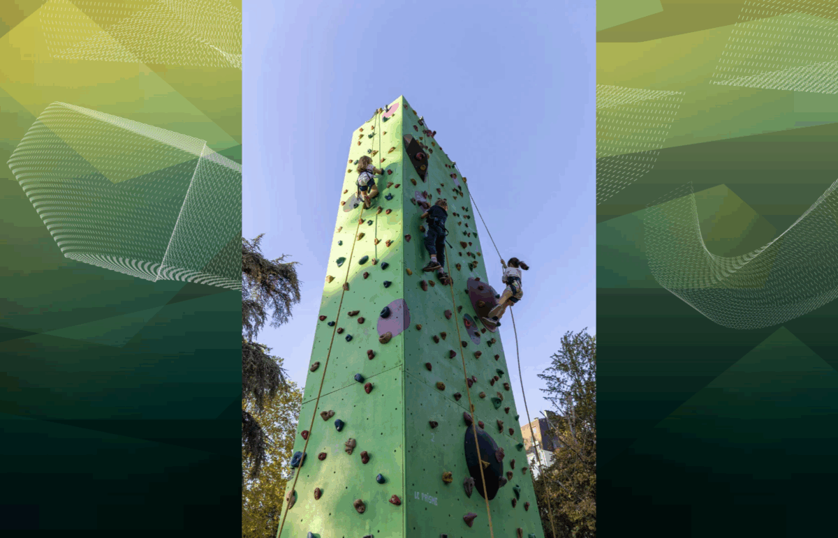 Initiation à l’escalade