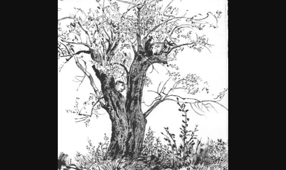 Improvisation dessinée