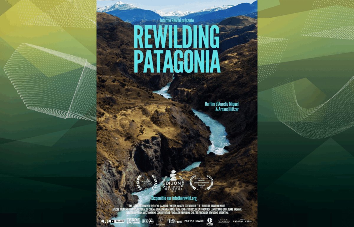 Rewilding Patagonia