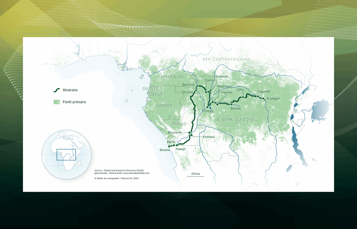 Visite commentée – Le dernier poumon vert de la planète